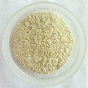 Panax Ginseng Powder