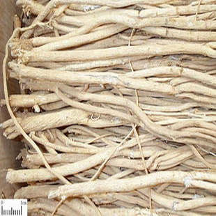 Astragalus polysaccharides