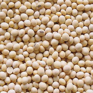 Soy Isoflavones - Soybean Extract